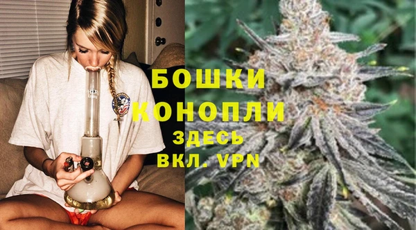 мдпв Горняк