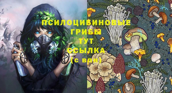 mdpv Горнозаводск