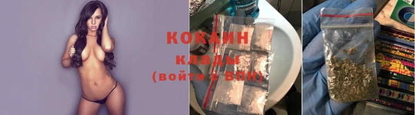 мдпв Горняк