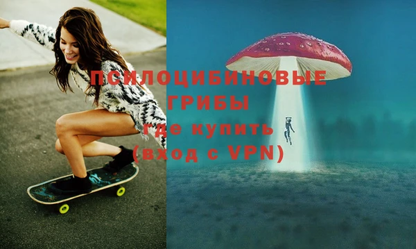 мдпв Горняк