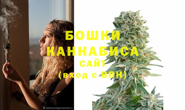 стаф Белая Холуница