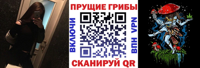 Псилоцибиновые грибы Cubensis  наркошоп  Донской 
